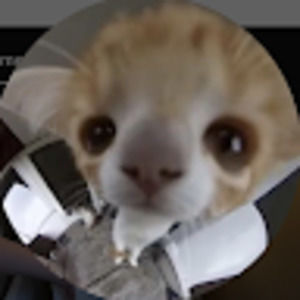 Meet your Posher, Luke